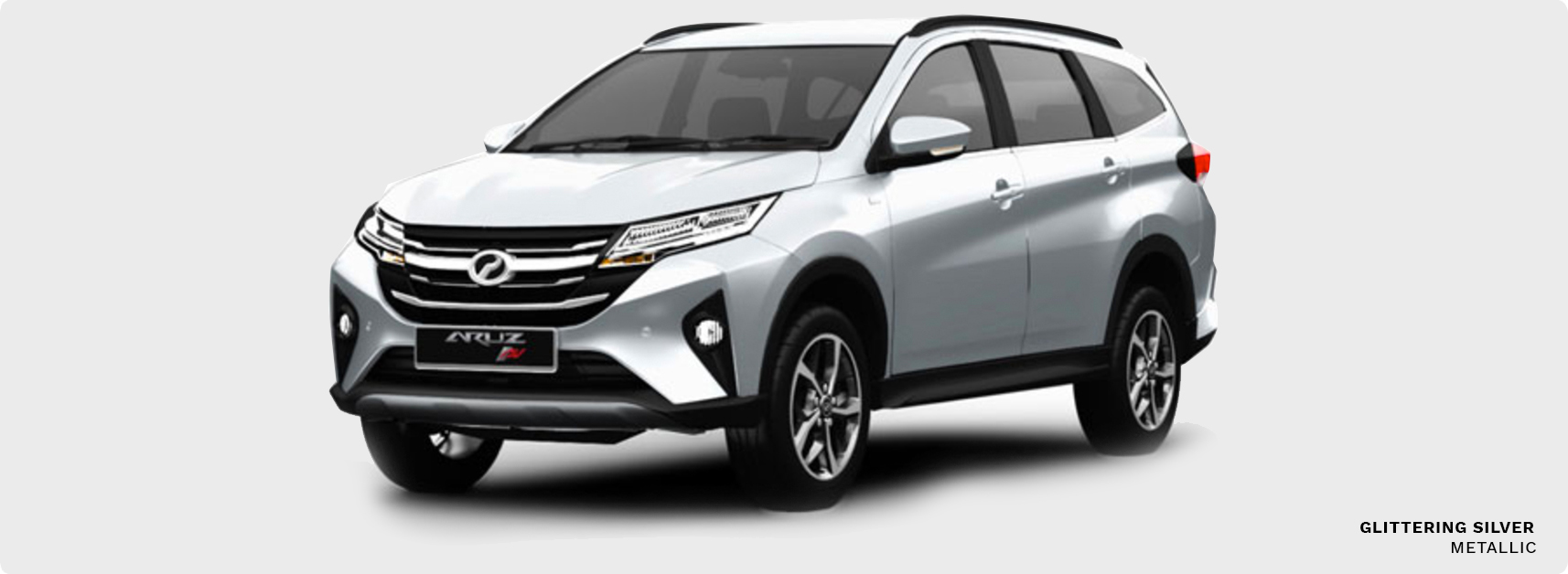 Exterior Glittering Silver