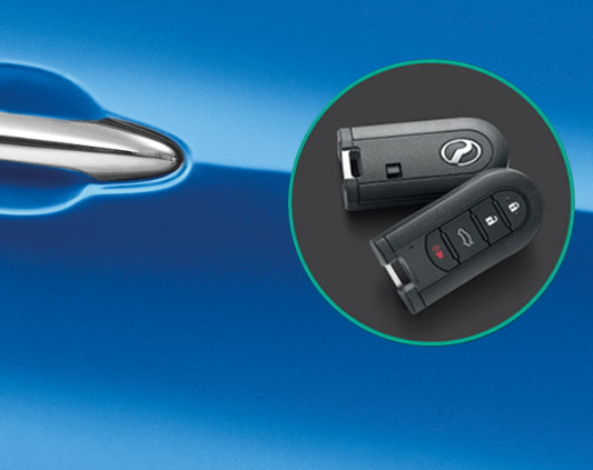 Smart Entry with Smart Key