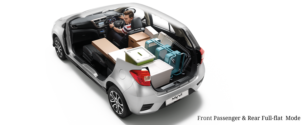 Alza-AU02-2-PASSENGER-MODE